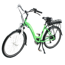 11.6Ah 36V 300W rear hub motor Electric Bicycle